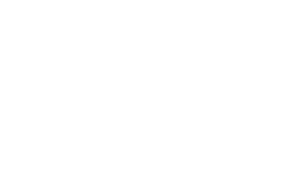 vector